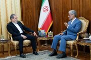 دیدار برخی سفرای ایران با عراقچی