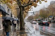 پیش بینی آب و هوای مازندران فردا شنبه ۲ آبان ۱۴۰۵ / احتمال رگبار و رعد و برق
