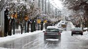 آغاز بارش برف در شرق و مرکز ایران