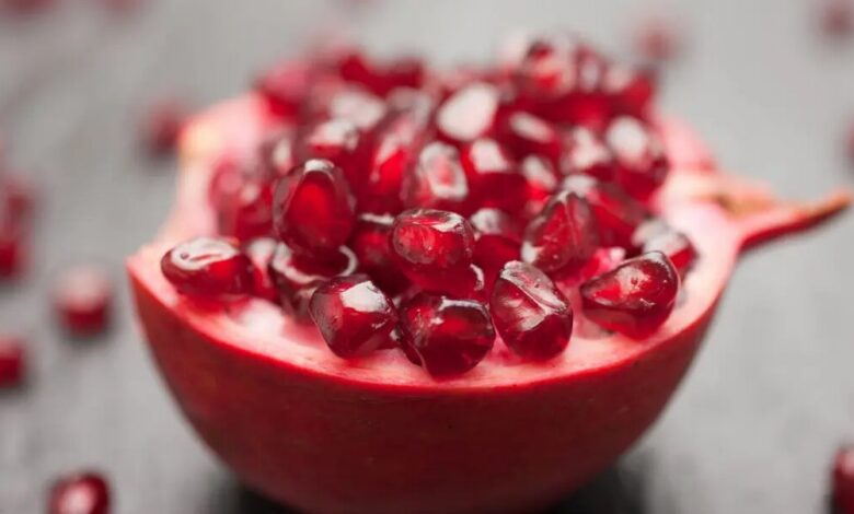 هوش‌مصنوعی چینی معمای ریاضی ۳۰۰ ساله را حل کرد