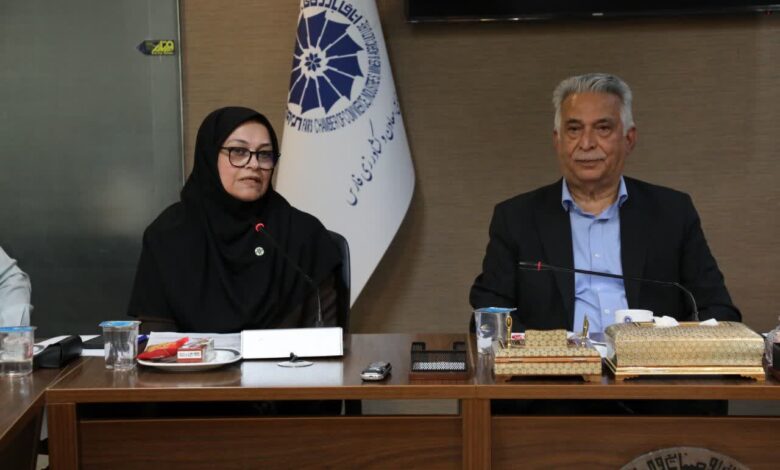 بحران بهره‌برداری در معادن فارس؛ تنها یک‌چهارم معادن فعال، تولید مستمر دارند