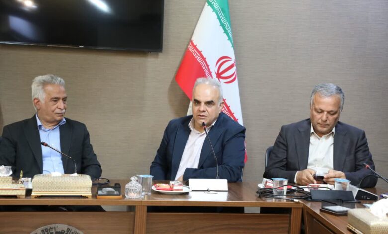 حمیدیان: رویه‌های غیرتخصصی فشار بیشتری بر فعالان اقتصادی وارد می‌کنند