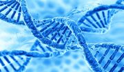 ایران در صدر تولید علم جهان اسلام در فناوری‌های ژنتیکی و مولکولی