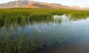 تالاب‌های ایران؛ سرمایه ملی در خطر نابودی