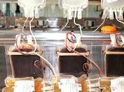 اهدای پلاکت؛ سرمایه‌ای حیاتی برای نجات بیماران