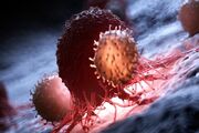 عفونت‌ها عامل ۱۵ تا ۱۸ درصد سرطان‌های جهان /واکسن HPV خطر سرطان دهانه رحم را ۶۵٪ کاهش می‌دهد