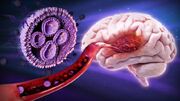 نانوذرات قندی، سلاح جدید علیه مرگبارترین تومور مغزی