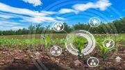 طرح پایلوت انتقال فناوری در ۱۰ روستای کشور
