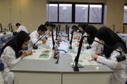 جهاددانشگاهی، از آموزش و پژوهش تا نوآوری برای ارتقای سلامت جامعه