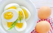 تولید تخم‌مرغ‌های غنی‌تر از امگا۳ و آنتی‌اکسیدان با اطلاح تغذیه مرغ