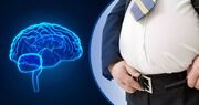 چرا حفظ کاهش وزن این‌قدر سخت است؟
