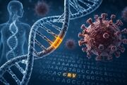 ردپای ویروس‌های کهن در DNA انسان