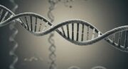 دانشمندان الفبای DNA را از ۴ حرف به ۸ حرف گسترش دادند