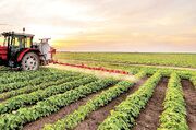 اختصاص منابعی از صندوق توسعه ملی برای اجرای طرح‌های کشاورزی