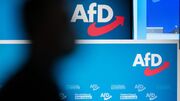 انتخابات زودهنگام آلمان و صعود حزب راست افراطی آلترناتیو برای آلمان (AfD)