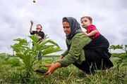 اعلام زمان همسان سازی حقوق بازنشستگان صندوق روستاییان