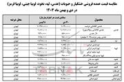 گرانی محصولات «فرداموتور» / میلیاردی وام بگیرید، ۷ سال بعد بپردازید!