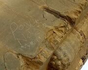 خبر تلخ از تخت‌جمشید/حکاکی بر پیکر ۲۵۰۰ ساله