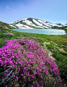 عکس کارت پستالی از ارتفاعات دالانپر