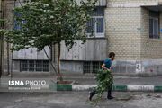 بارش پراکنده باران در استان‌های شمالی طی فردا