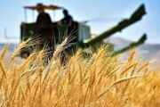 بدهی غول‌آسای دولت به کشاورزان/ ۱۶۵ هزار میلیارد تومان که هیچ‌کس نمی‌داند کجاست !
