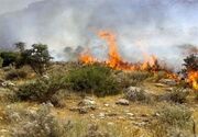 آتش برای دهمین بار در میانکاله زبانه کشید