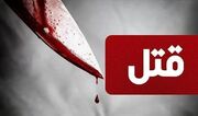 قاتل: به زنم گمان بد داشتم، او را با چاقو کشتم
