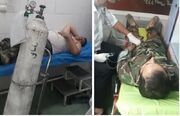 ضارب جنگلبان چالوسی پس از یک هفته دستگیر شد
