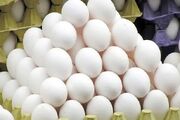 سقوط سبد غذایی در تلاطم قیمت تخم‌مرغ/آخرین پروتئین ارزان سفره‌ها در خطر است!