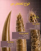 چرا محصولات گران روی موهای شما اثر ندارند؟