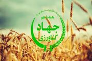 بازی جدید وزارت جهاد با برنج و چای! / ترفند جدید واردکنندگان برای دور زدن سقف‌های دولتی
