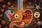 چه چیزهایی را با معده خالی نخوریم یا کمتر بخوریم؟
