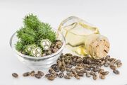فواید روغن کرچک برای مو