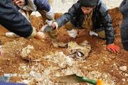 کشف پیکر مطهر یک شهید دفاع مقدس در طلاییه