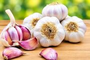 علم درباره فواید سیر چه می‌گوید؟