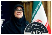 واکنش سخنگوی دولت به مصادره استعفای پاک‌نژاد