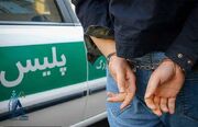 مادر و پسر در نقش سارقان رینگ و لاستیک