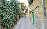 حفاظت از جماران؛ تا کجا و به چه قیمتی؟