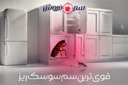 قوی ترین سم سوسک ریز کابینت - نجات آشپزخانه از شر سوسک آلمانی