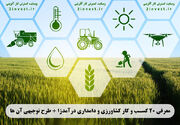 ۲۰ طرح توجیهی کسب و کار کشاورزی و دامپروری درآمدزا و پولساز