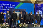 رونمایی از تمبر «دلفین گوژپشت خلیج فارس»؛ نوری پیشگام حوزه مسئولیت اجتماعی شد