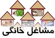 جذب ۳۱۷ میلیارد تومان تسهیلات مشاغل خانگی در اردبیل