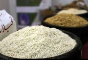 مهلت بیمه برنج در گیلان تا ۳۱ خرداد تمدید شد