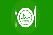 هدف‌گذاری صدور ۳۰۰ نشان حلال در ۱۴۰۵