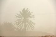 طوفان با سرعت ۱۱۹ کیلومتر بر ساعت زابل را درنوردید