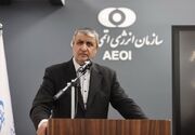 کاهش ضایعات ۳۰ درصدی محصولات کشاورزی با پرتودهی هسته‌ای