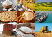 تأمین پایدار کالاهای اساسی با تخصیص ۸۰۰ میلیون دلار به استان‌های مرزی