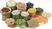 تامین واردات حبوبات از بنادر شمالی| کمبودی در بازار نداریم
