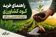 راهنمای خرید کود کشاورزی از فروشگاه تخصصی برناکود