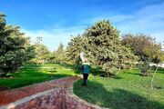 ناترازی ۴۰ میلیون مترمکعبی آب برای حفظ ۵۷۰۰ هکتار فضای سبز اصفهان